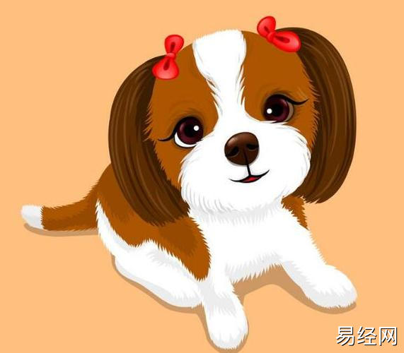 【属狗】属狗的人开门用生肖 属狗的入户门应开在那边最好,易经网推荐生肖属狗