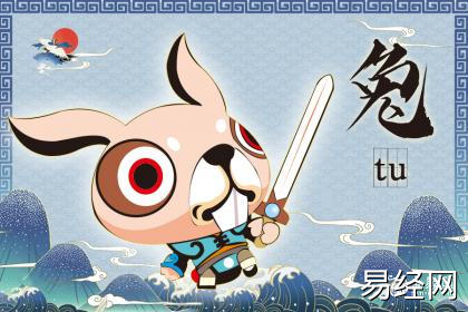 不喜欢属兔的人