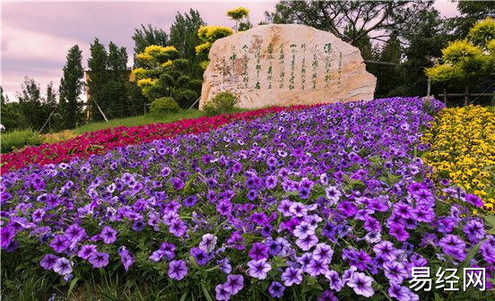 祖先墓地风水的重要性及恶风水解析