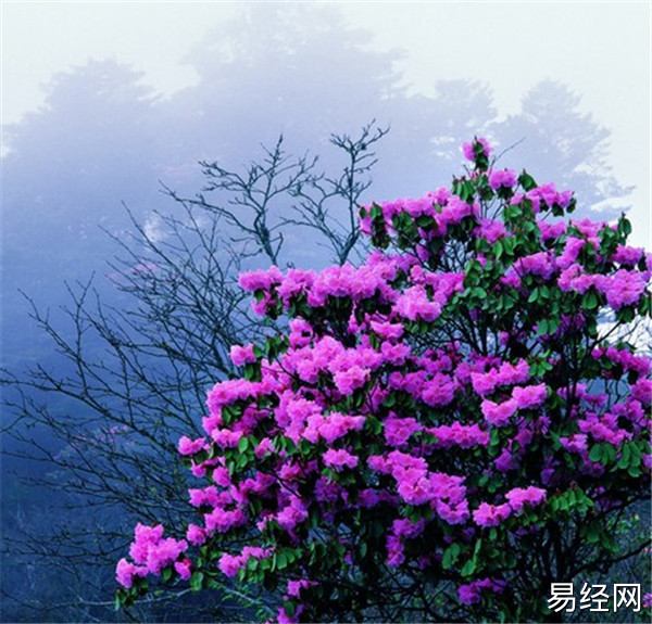 祖先墓地风水的重要性及恶风水解析