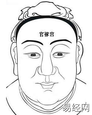 官禄宫有塌陷如何破解,就在头发的美人尖