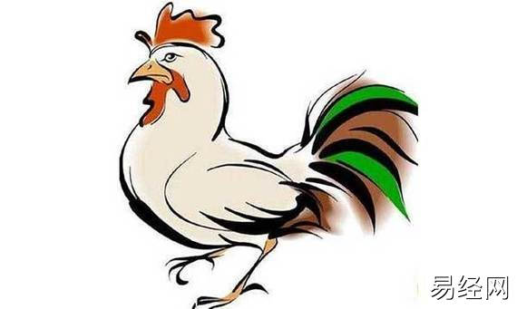 【属鸡】生肖属鸡今年好多岁,易经网推荐生肖属鸡