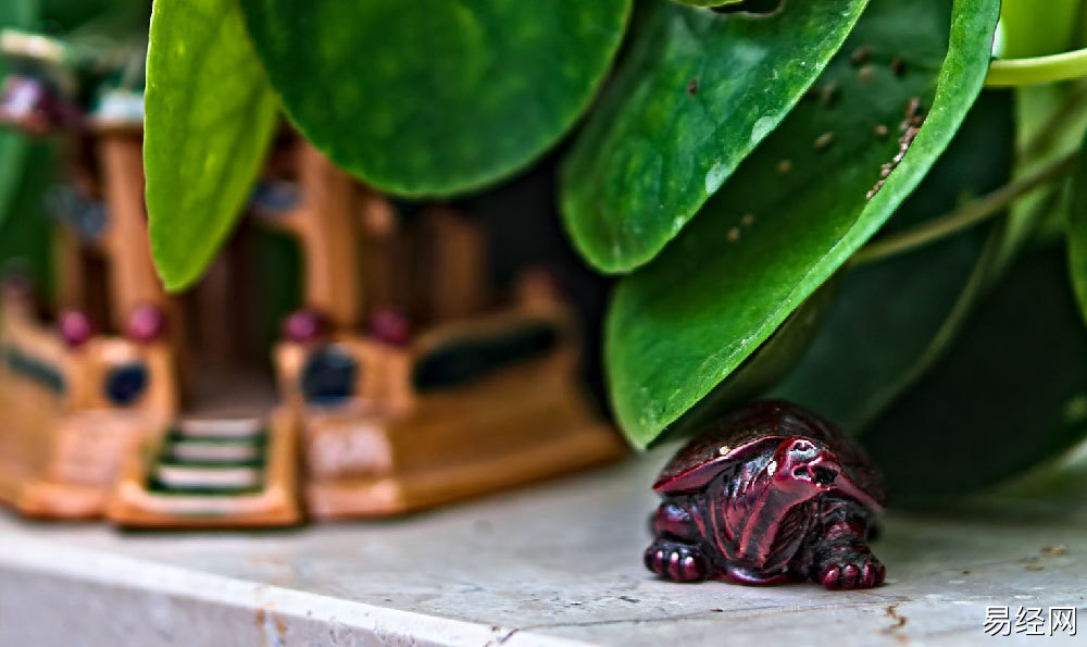 风水与堪舆 风水与堪舆在项目规划中的作用