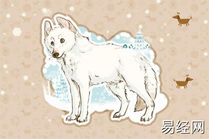 属狗女适合留什么发型 染什么颜色好