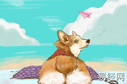 属狗女适合留什么发型 染什么颜色好