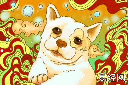 属狗女适合留什么发型 染什么颜色好