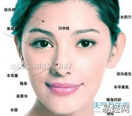 颧骨有肉包的女人面相_颧骨有雀斑的女人面相_颧骨高的女人面相卡通