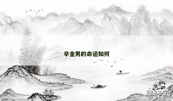 辛金男的命运如何 辛金男的命运如何