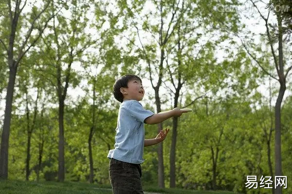 张姓男孩最吉利的名字