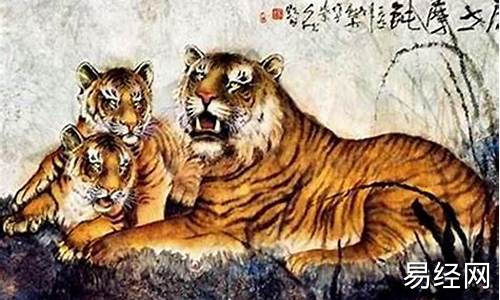 属虎人一生运势及运程-属虎的人一生的运程