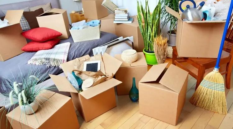 1743386331354299.jpg 搬家66.jpg