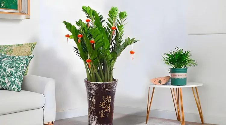 1743046141898202.jpg 客厅财位.jpg