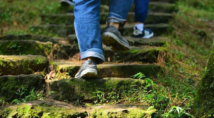 1740705495891966.jpg 爬山.jpg