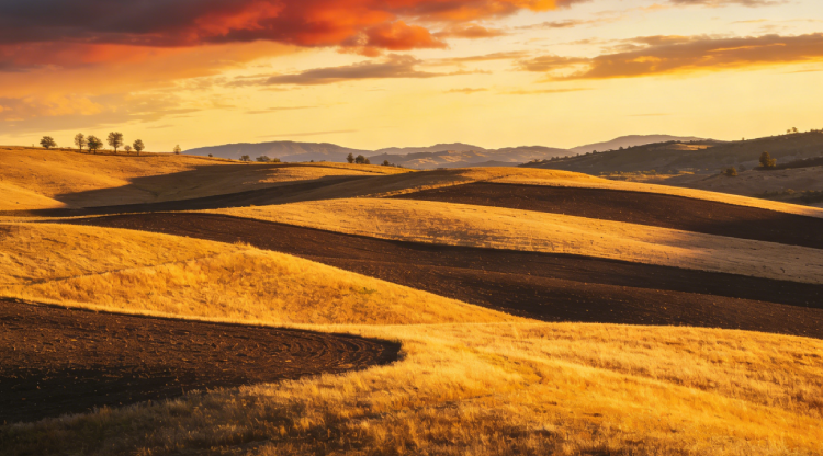 1773367824741111.png 大地.png