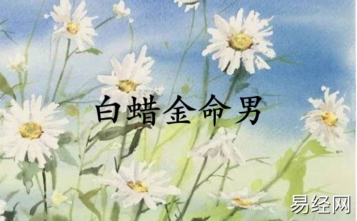 白蜡金命男和什么命最配合