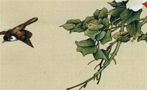 女人用什么手机号财运好 手机号预测运势免费