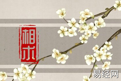 眉骨高男人的面相与命运解析 性格特点