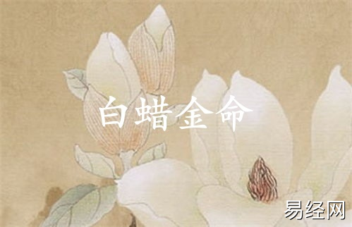 白蜡金命女缺什么五行属性