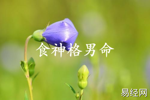 食神格男命配什么格女命 食神格男命配什么格女命