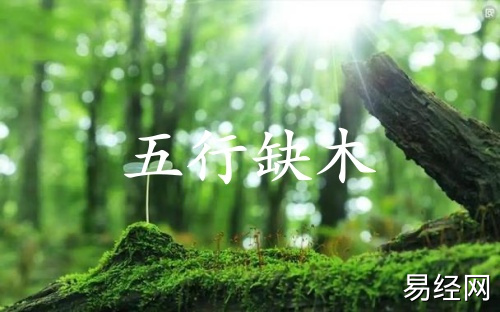 五行缺木的人婚姻怎么样