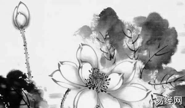 bazi (118) bazi (118)