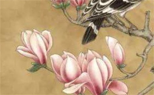 大富大贵的手机号码 招财手机尾号推荐