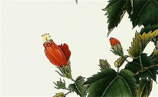 带来好运的6位数字 什么样手机号码顺利招财