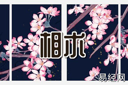 右下眼睑跳动是福是祸 右眼跳含义