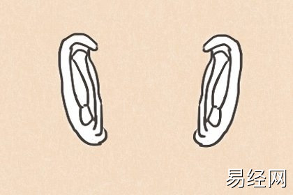女人面相分析耳朵 什么样的耳朵长得吉利