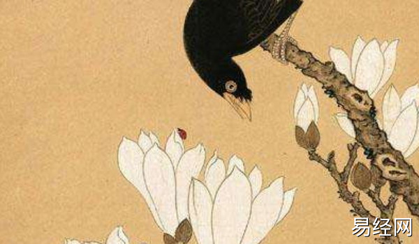 2022-01-06_151210 2022-01-06_151210