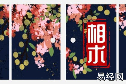 渣女面相特征大揭秘 遇到须谨慎