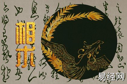 脑门宽的女人面相解读 事业成熟感情美满