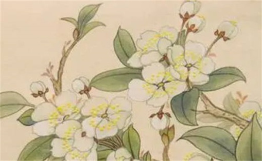 火命手机号最旺财的尾数 五行属火手机号码选择