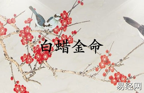 白蜡金命配涧下水命合适吗