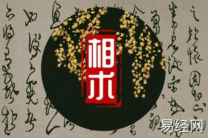 女人肩宽的面相寓意 肩宽与命运的关系