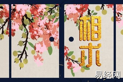 长寿之人的面相特征 人中深长目光有神