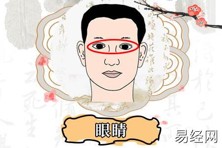眼睛黑白分明的人命运如何,眼睛面相详解