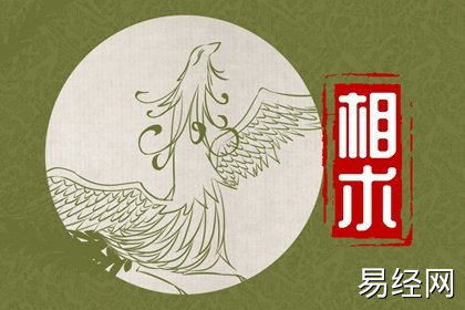 帝王痣的位置 帝王之相长什么样