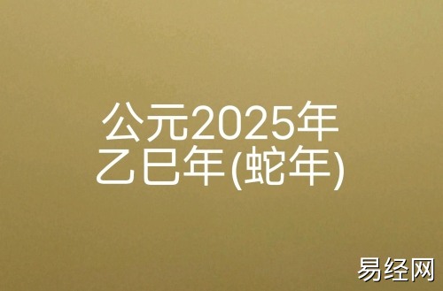 2025年是什么年 2025年是什么年