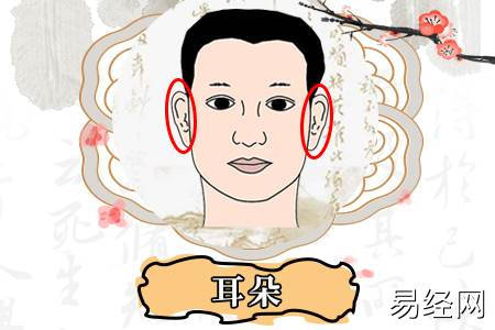 天生无耳垂的人命运如何,无耳垂的面相