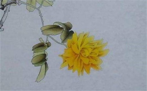 手机尾号最聚财的数字 手机尾号吉利推荐