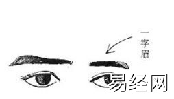 什么样的眉毛能聚财,聚财的眉毛