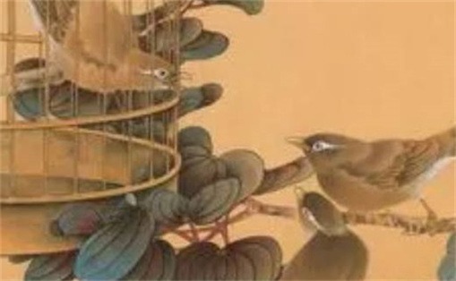 手机号码招桃花数字 女性手机号桃花运最强