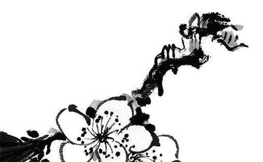 76属龙最佳手机号尾数 76年属龙人用什么手机号码