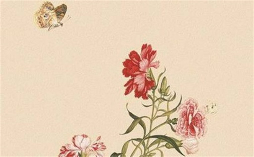 6368尾号磁场如何  手机尾号6368的寓意