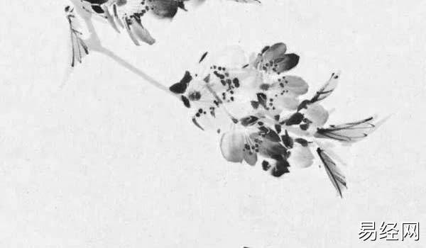 bazi (174) bazi (174)