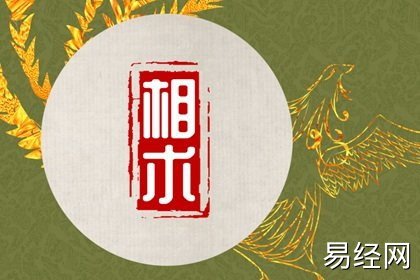 啥面相儿女运程会比较好 父母面相决定儿女运程