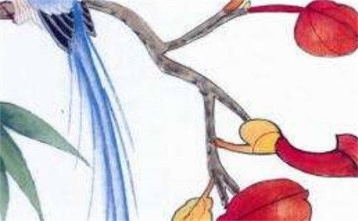 女人不能用的号码尾数 女人不能用的号码尾数