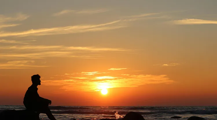 1711588505975838.jpg 图片