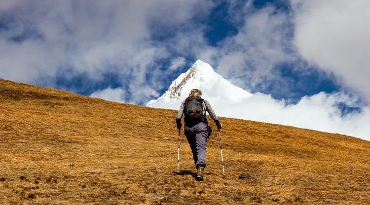 1694770822717863.jpg 图片